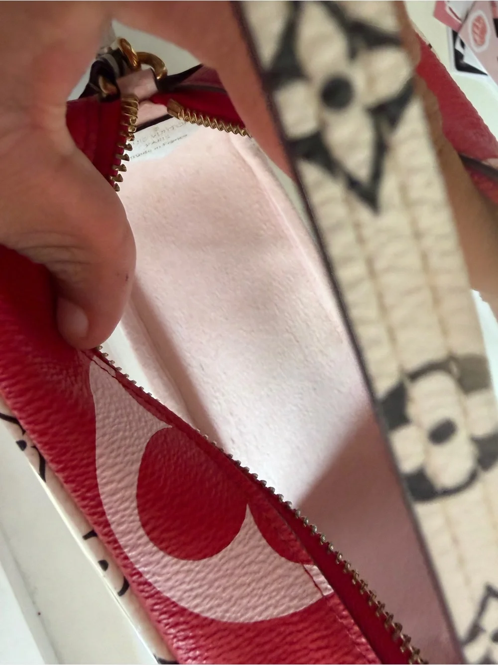 Louis Vuitton Pink and Red Clear bag